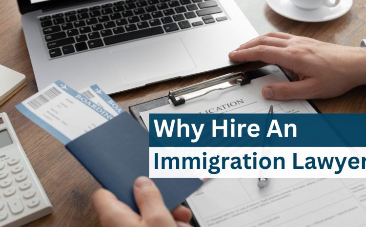 Why Hire An Immigration Lawyer